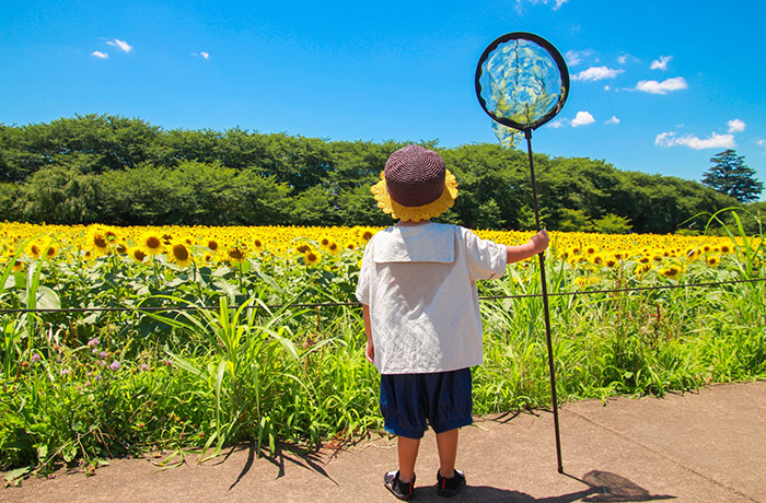 災害時の口腔ケアに備えましょう