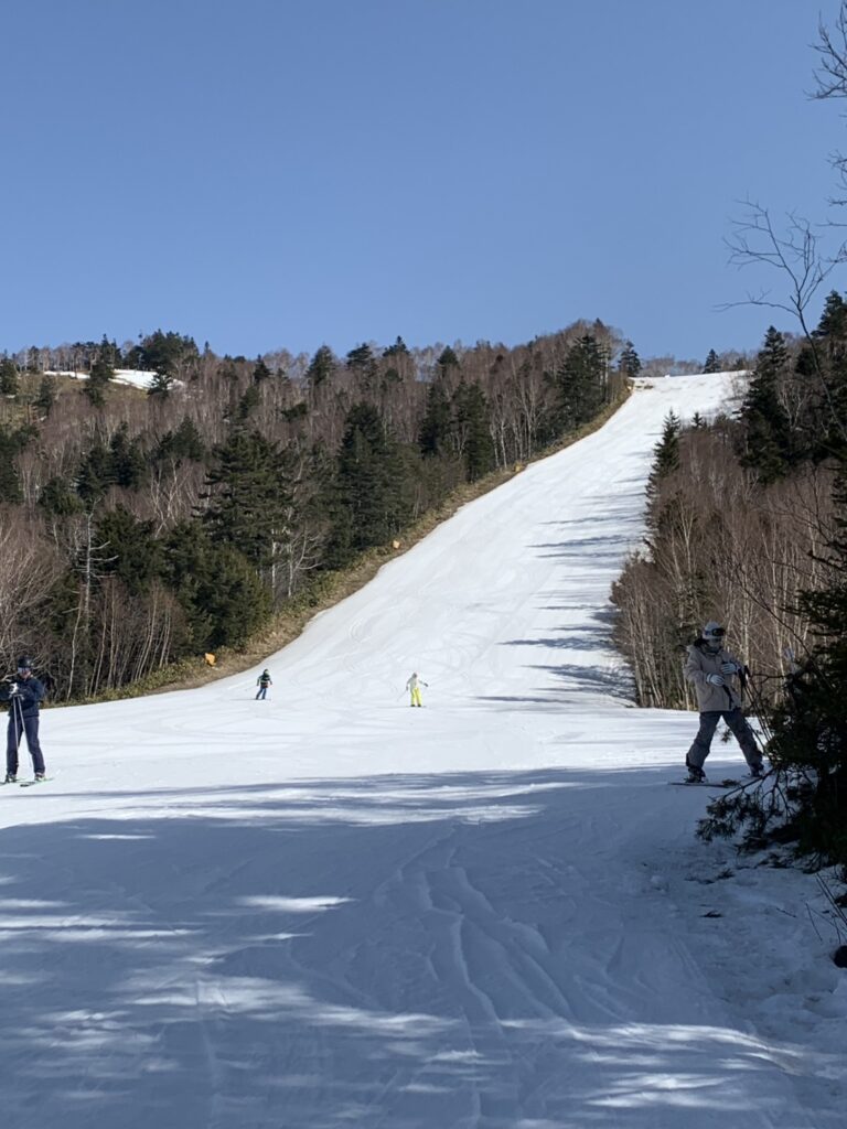 260304大林歯科ブログ